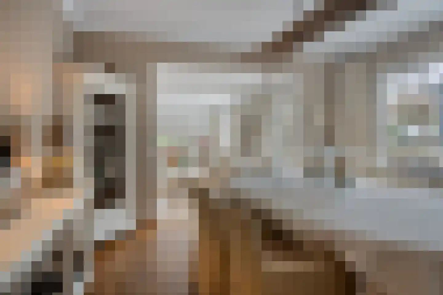 Ameroever 64 Lage Zwaluwe thumbnail 11