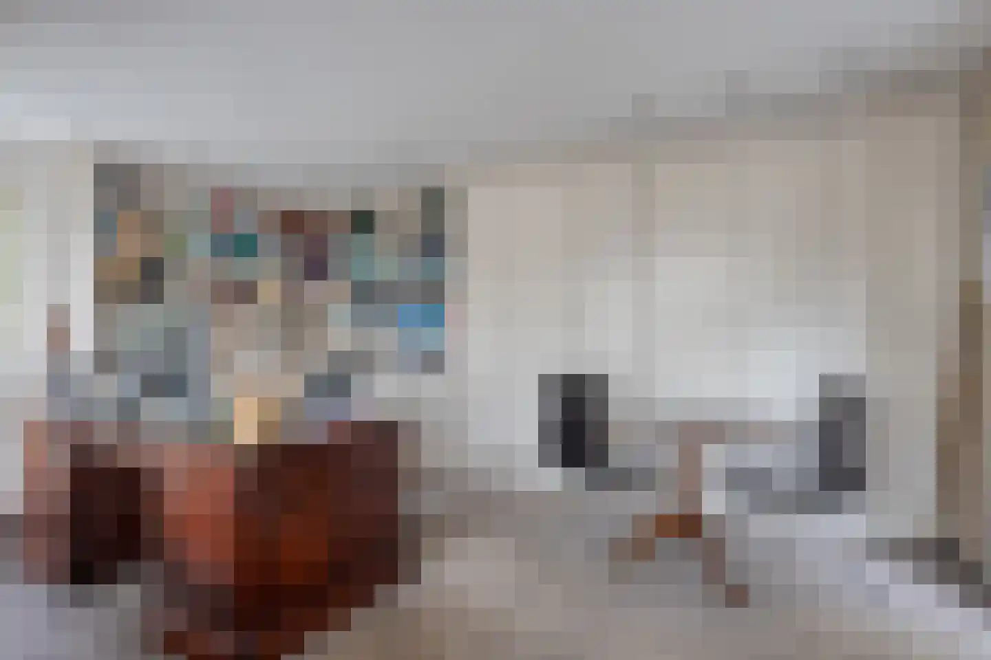 Ameroever 64 Lage Zwaluwe thumbnail 22