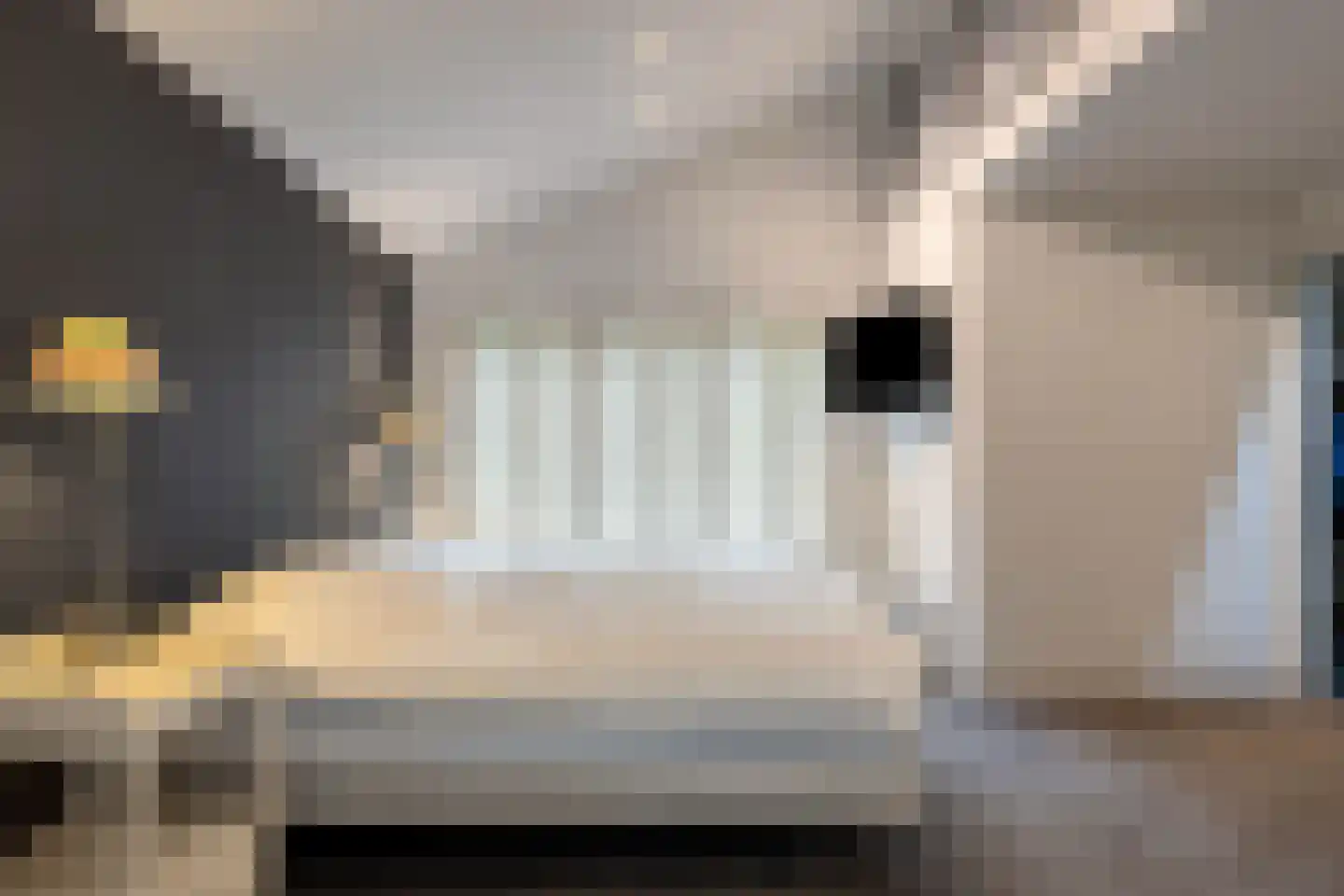 Ameroever 64 Lage Zwaluwe thumbnail 25