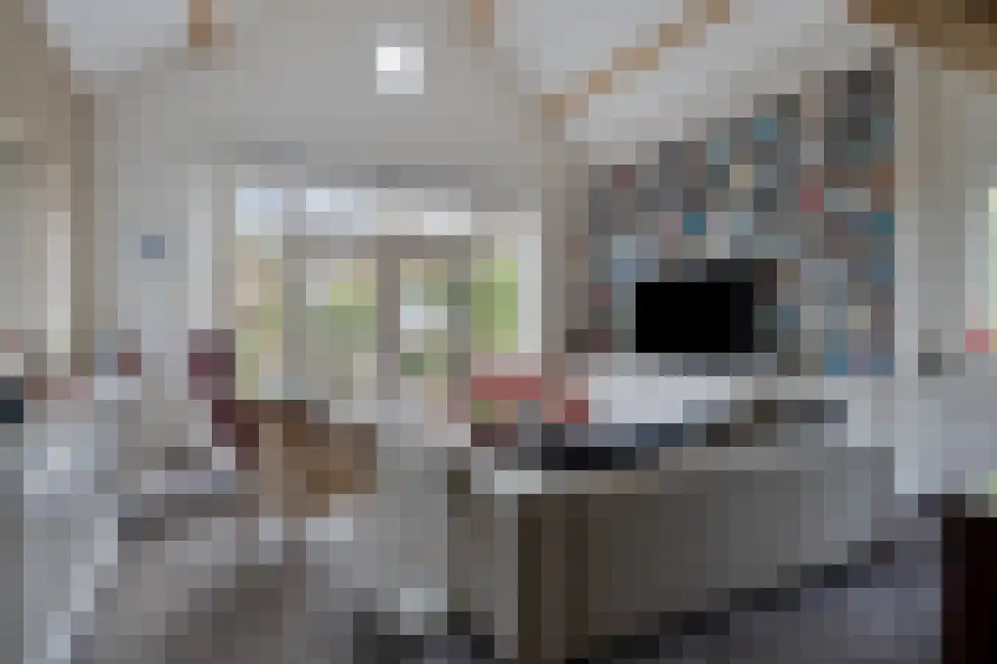 Ameroever 64 Lage Zwaluwe foto 3