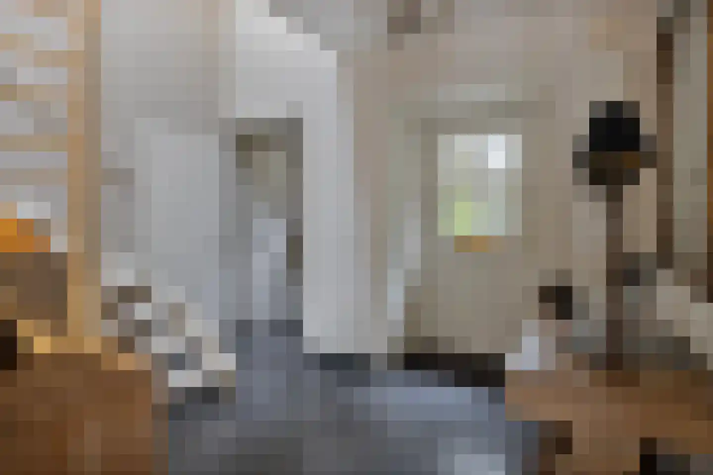 Ameroever 64 Lage Zwaluwe thumbnail 32