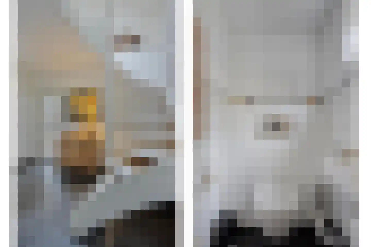 Ameroever 64 Lage Zwaluwe thumbnail 33