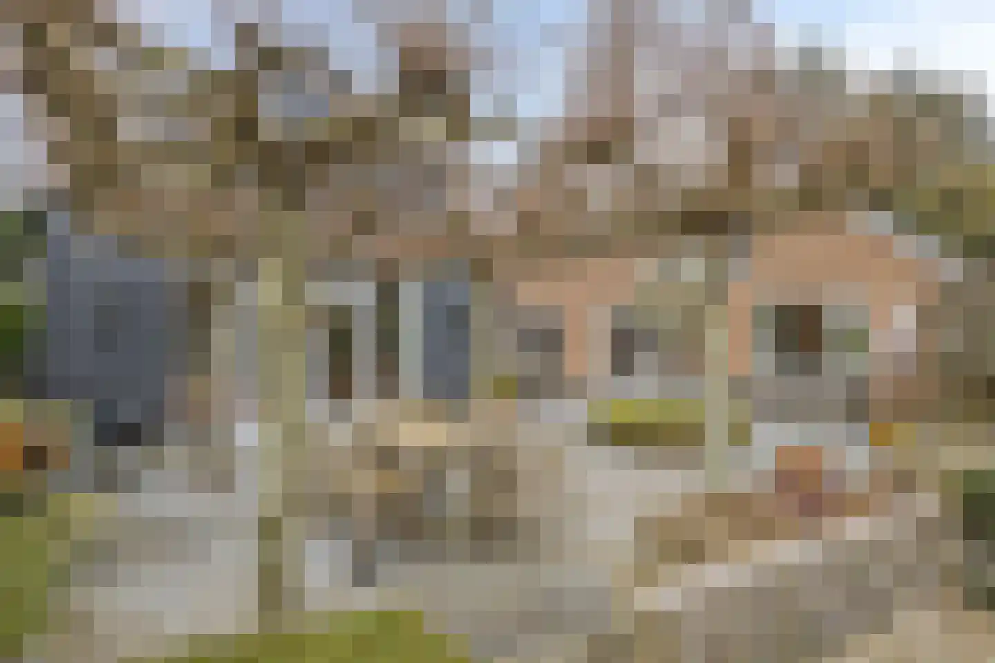 Ameroever 64 Lage Zwaluwe thumbnail 44