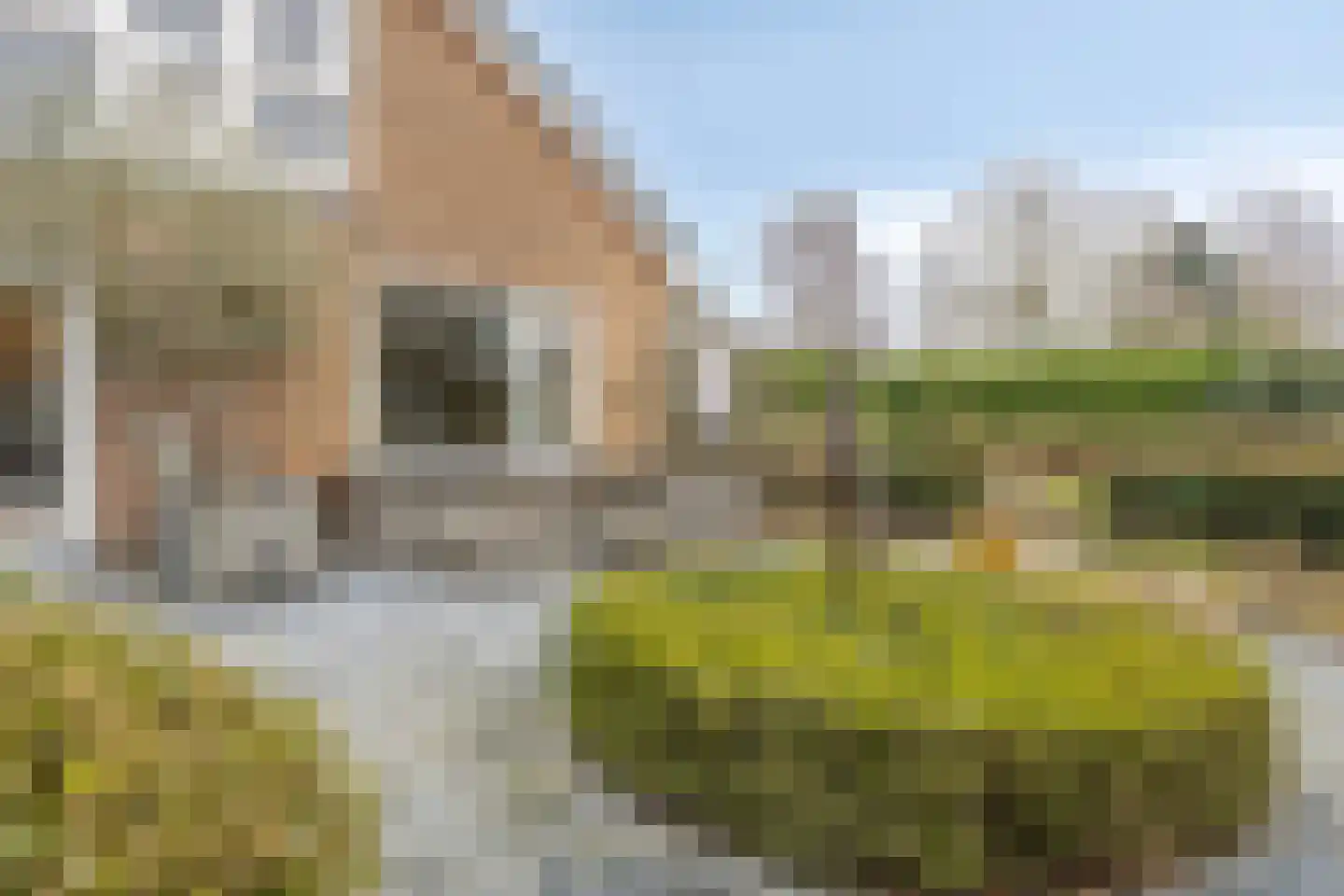 Ameroever 64 Lage Zwaluwe thumbnail 47