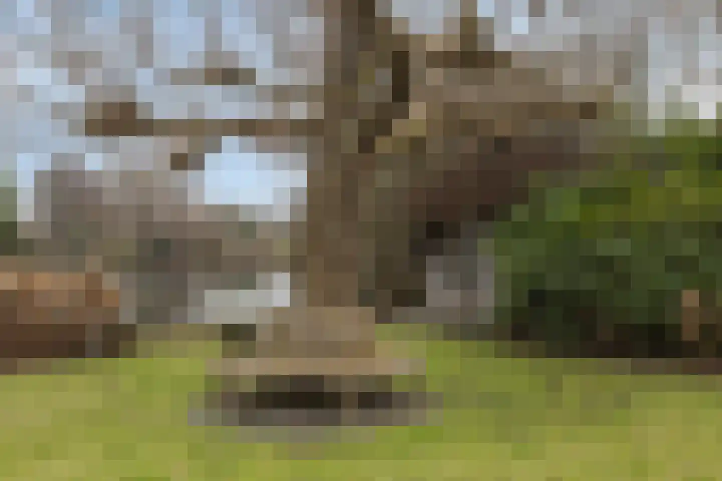 Ameroever 64 Lage Zwaluwe thumbnail 49