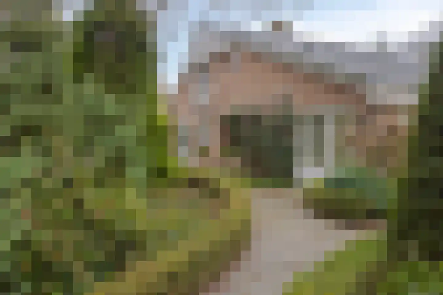 Ameroever 64 Lage Zwaluwe thumbnail 5