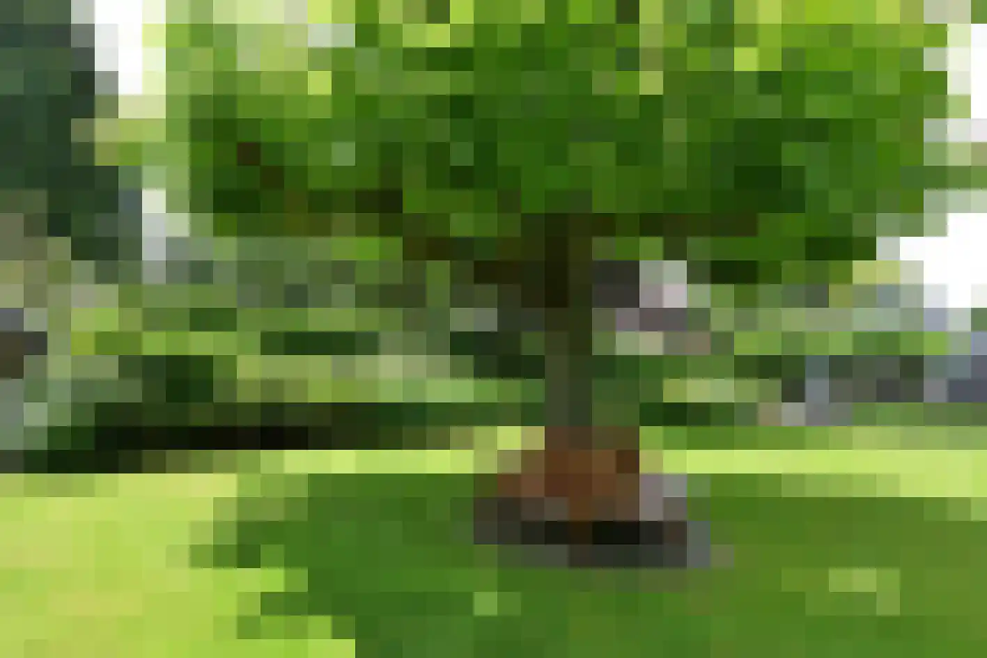 Ameroever 64 Lage Zwaluwe thumbnail 51