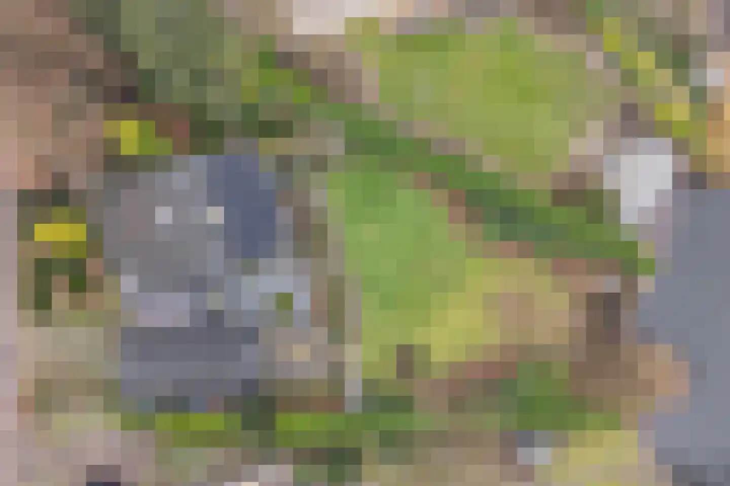 Ameroever 64 Lage Zwaluwe thumbnail 56
