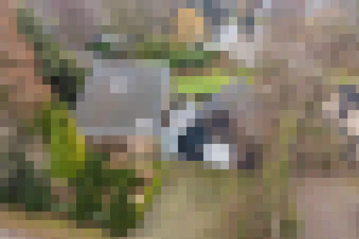 Ameroever 64 Lage Zwaluwe thumbnail 58