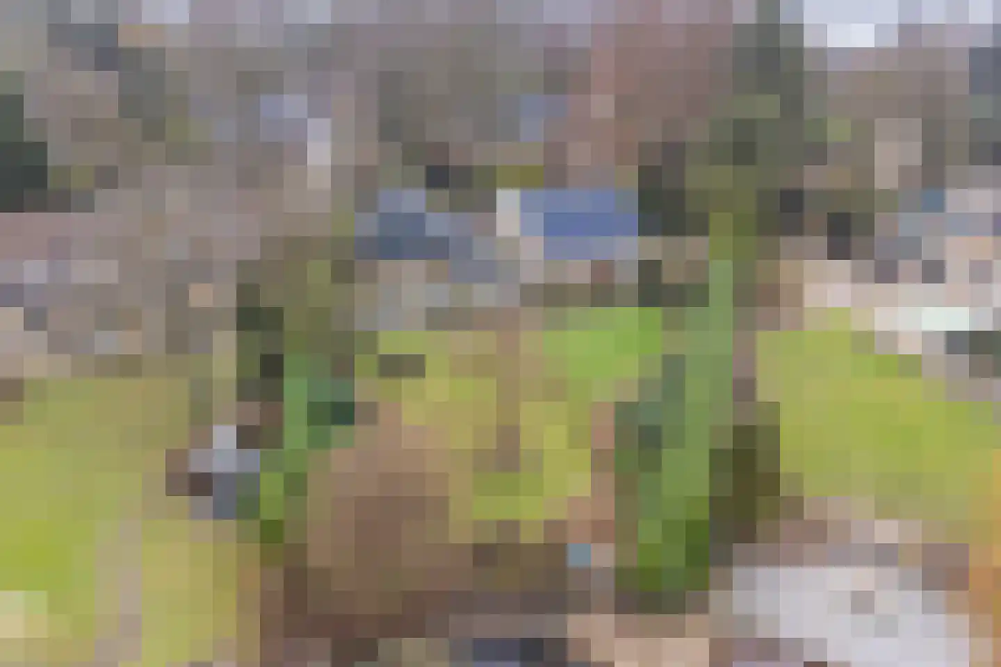 Ameroever 64 Lage Zwaluwe thumbnail 60