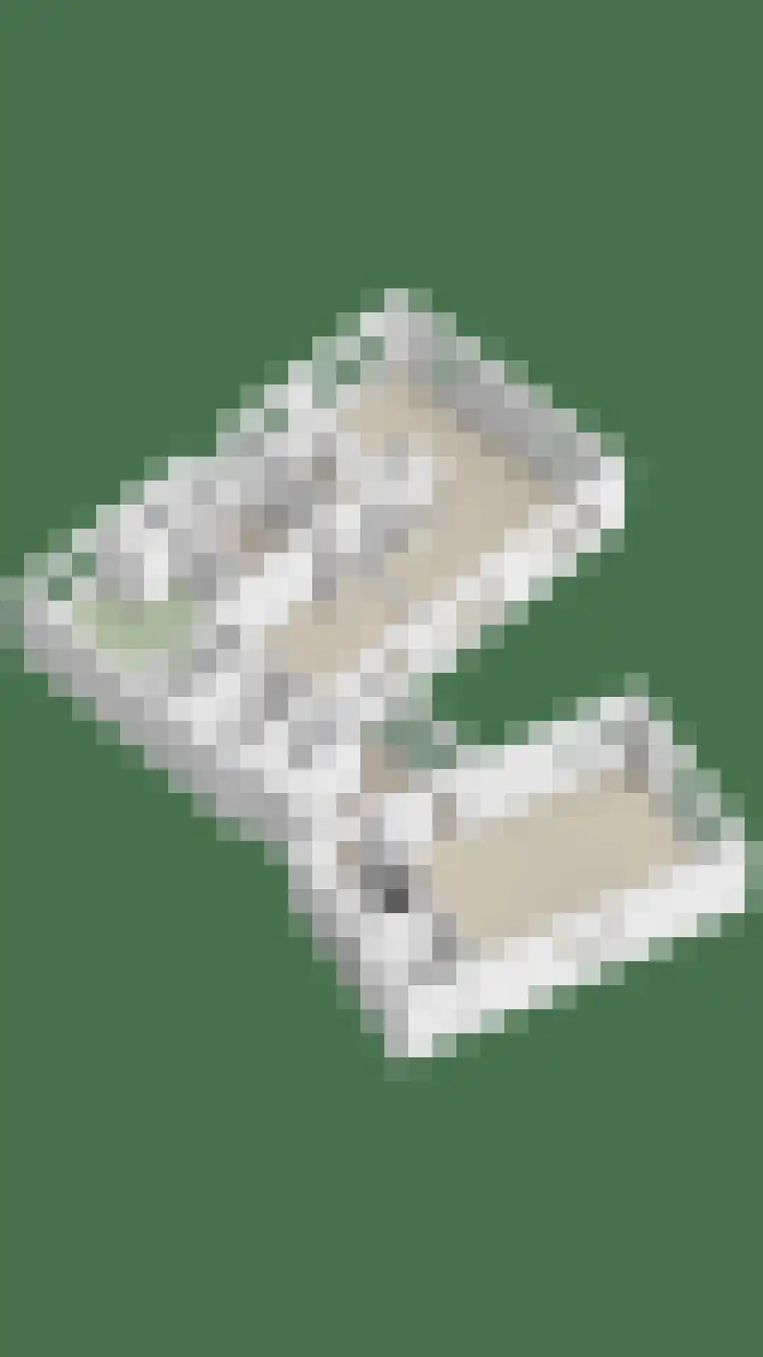 Ameroever 64 Lage Zwaluwe thumbnail 64