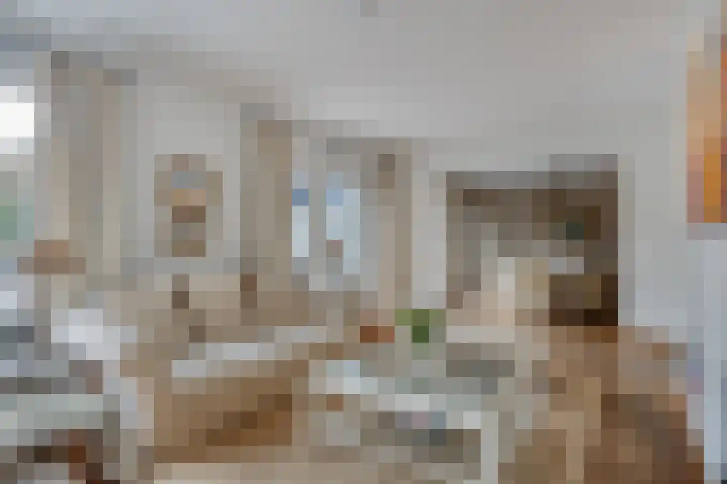 Ameroever 64 Lage Zwaluwe thumbnail 7
