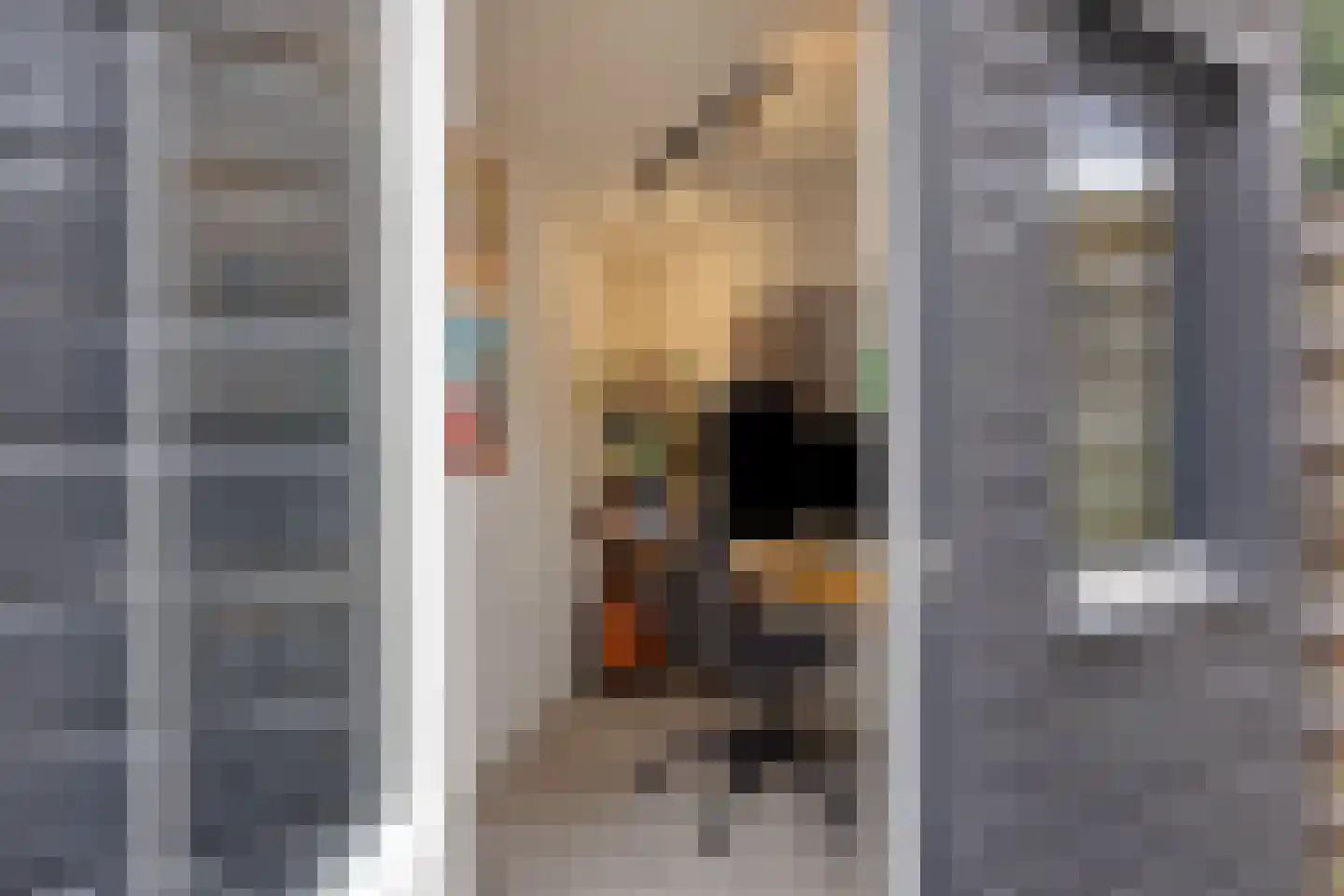 Amerongenstraat 10 Den Haag thumbnail 4