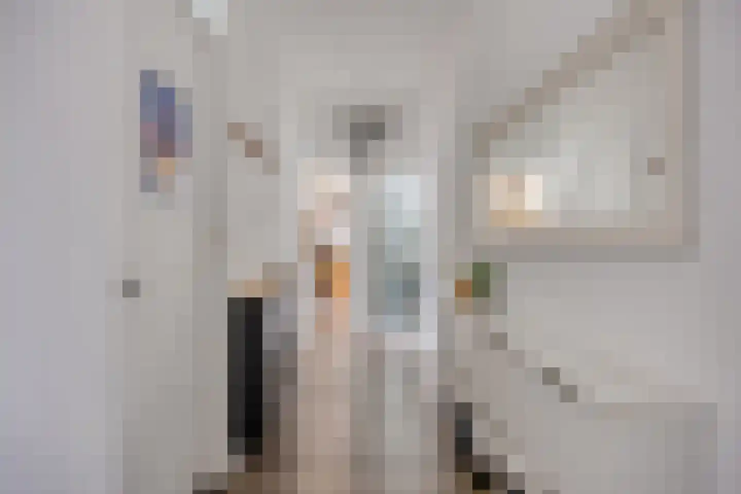 Amerongenstraat 10 Den Haag thumbnail 5