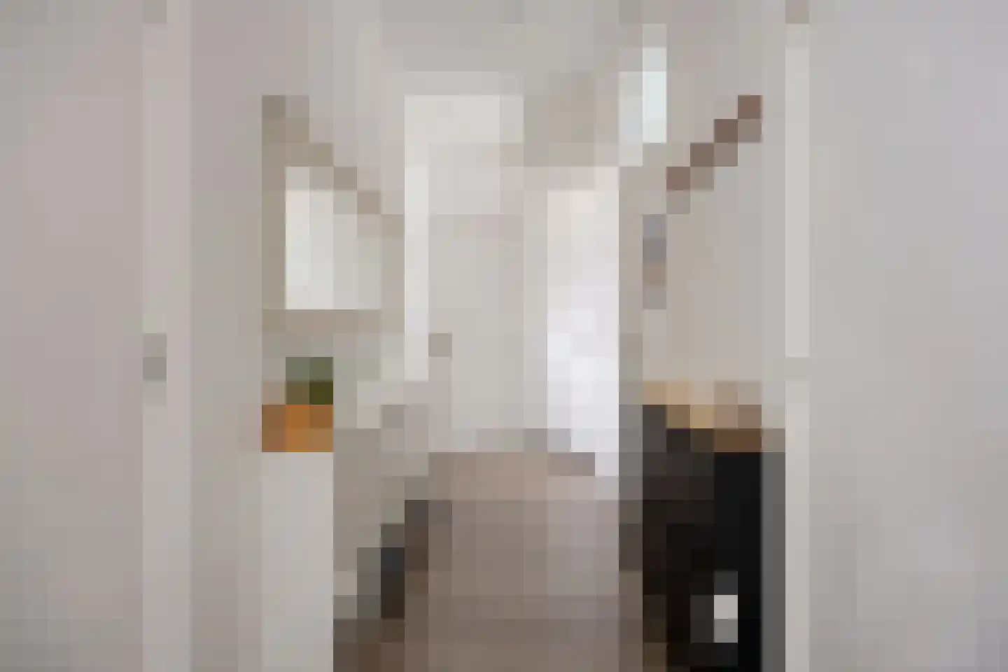 Amerongenstraat 10 Den Haag thumbnail 6