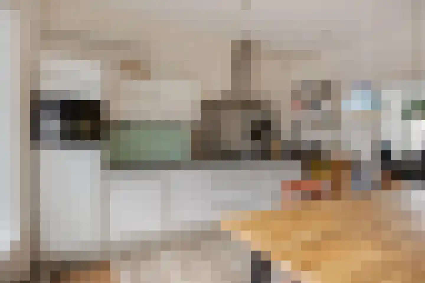 Amerongenstraat 10 Den Haag thumbnail 9