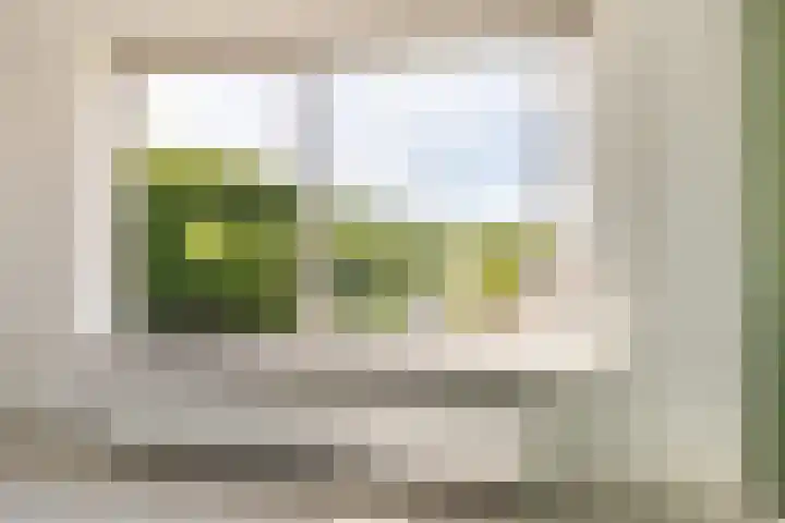 Amerongenstraat 2 D16 Breda thumbnail 9