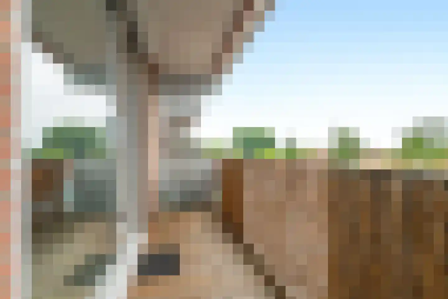 Amerongenstraat 2 D6 Breda thumbnail 20