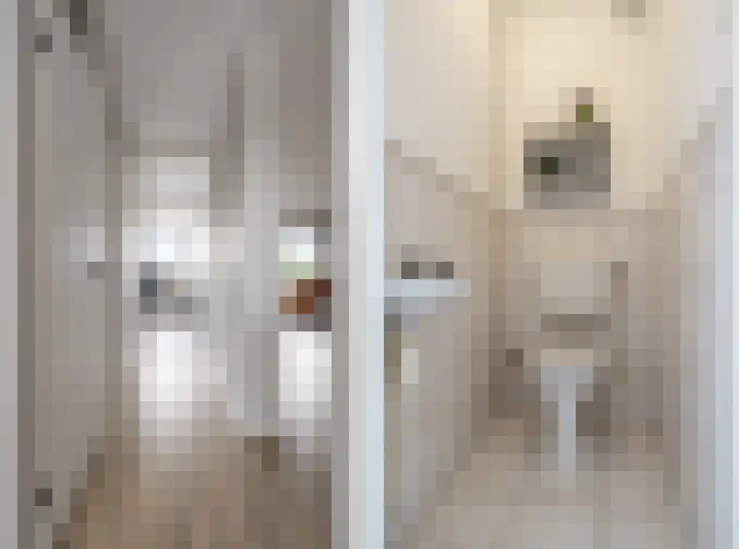 Amerongenstraat 2 D6 Breda thumbnail 28