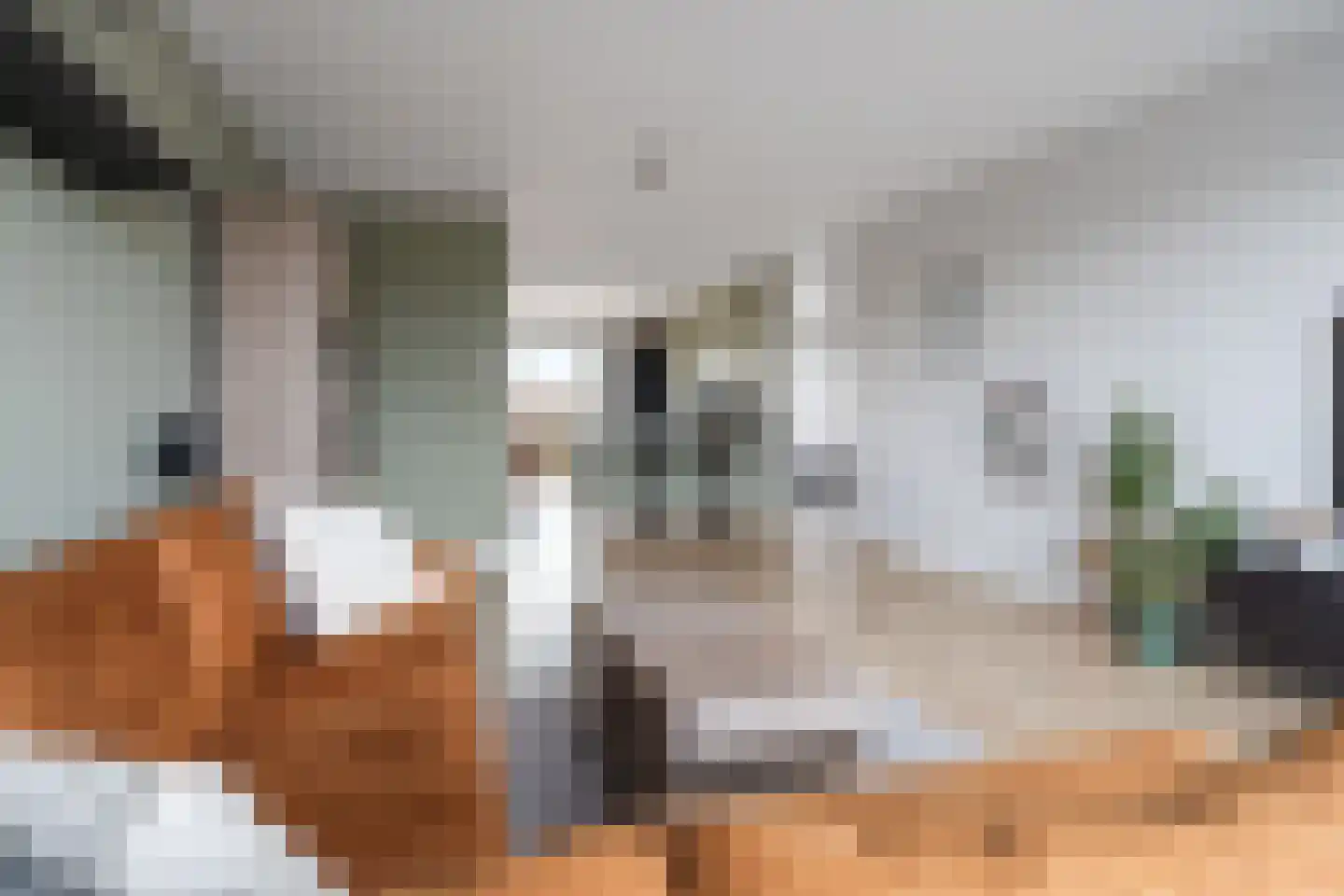 Amerongenstraat 2 D6 Breda thumbnail 8