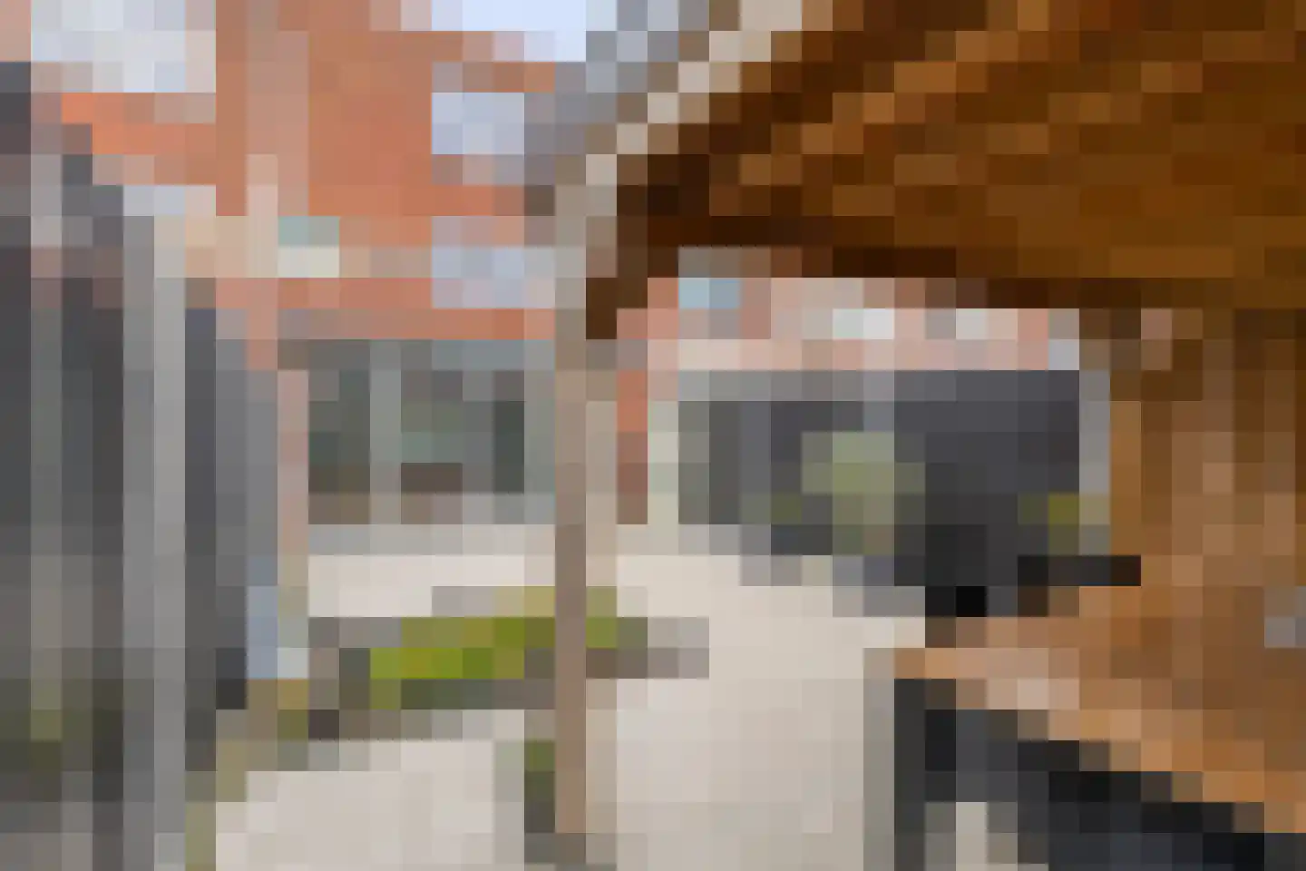 Amerongenstraat 27 Den Haag thumbnail 16