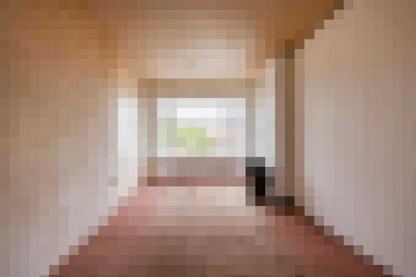 Amerongenstraat 28 Den Haag thumbnail 8