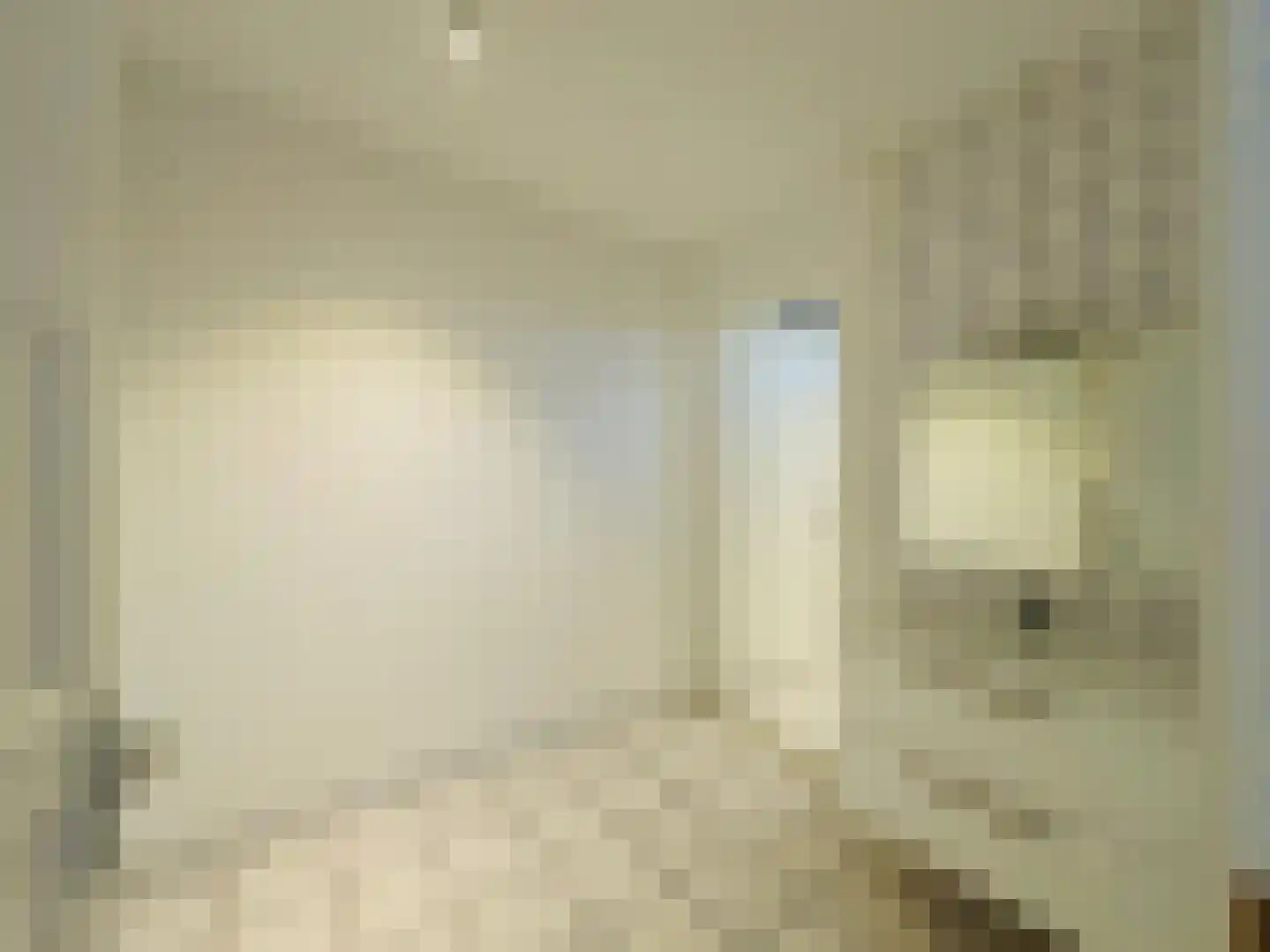 Amerongenstraat 32 Den Haag thumbnail 11