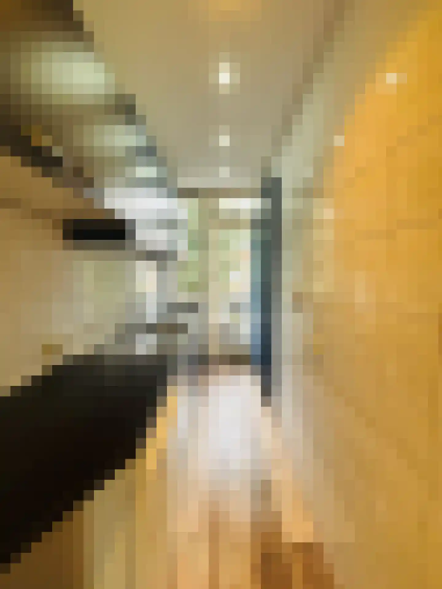 Amerongenstraat 32 Den Haag thumbnail 15