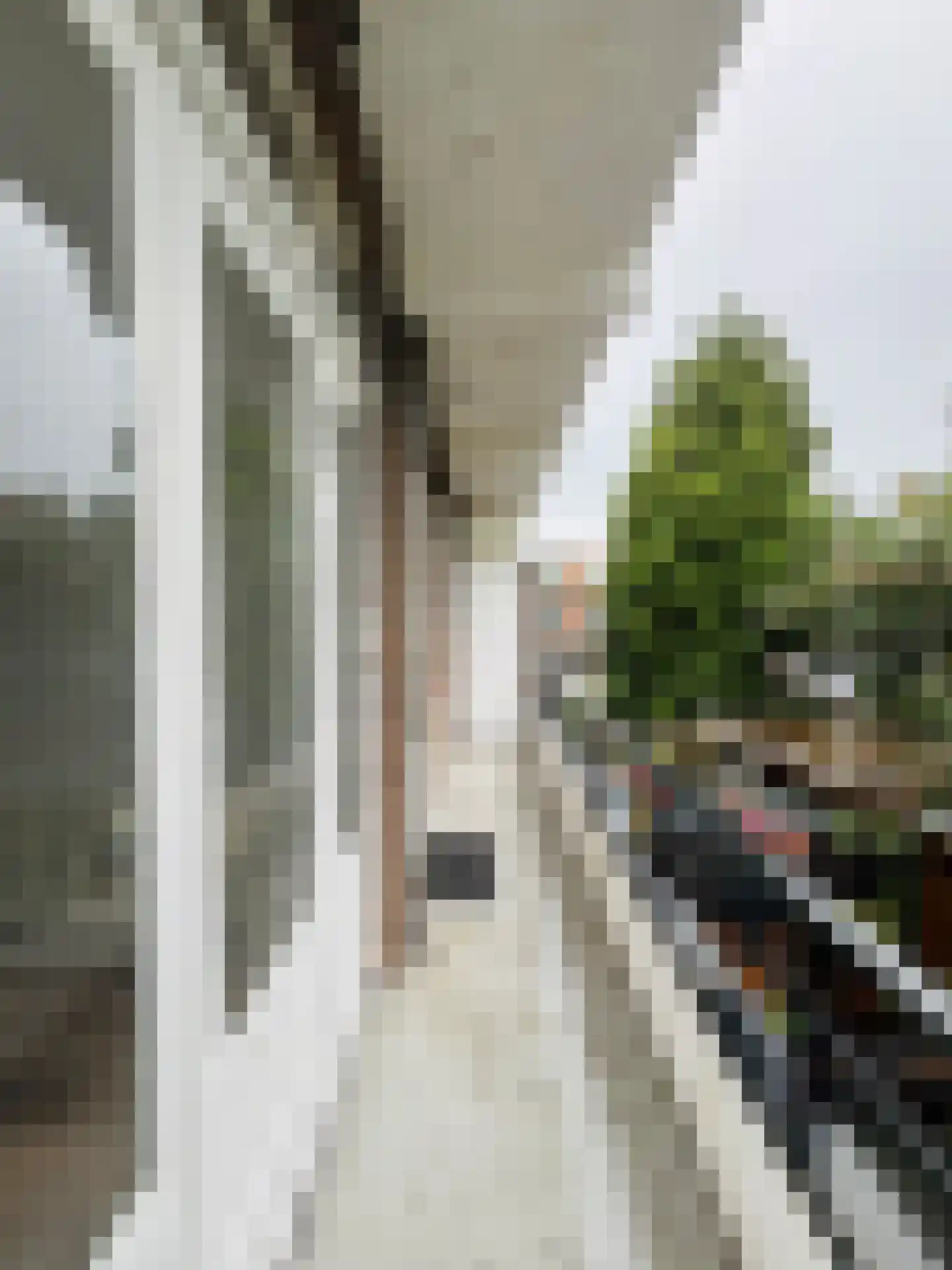Amerongenstraat 32 Den Haag thumbnail 17
