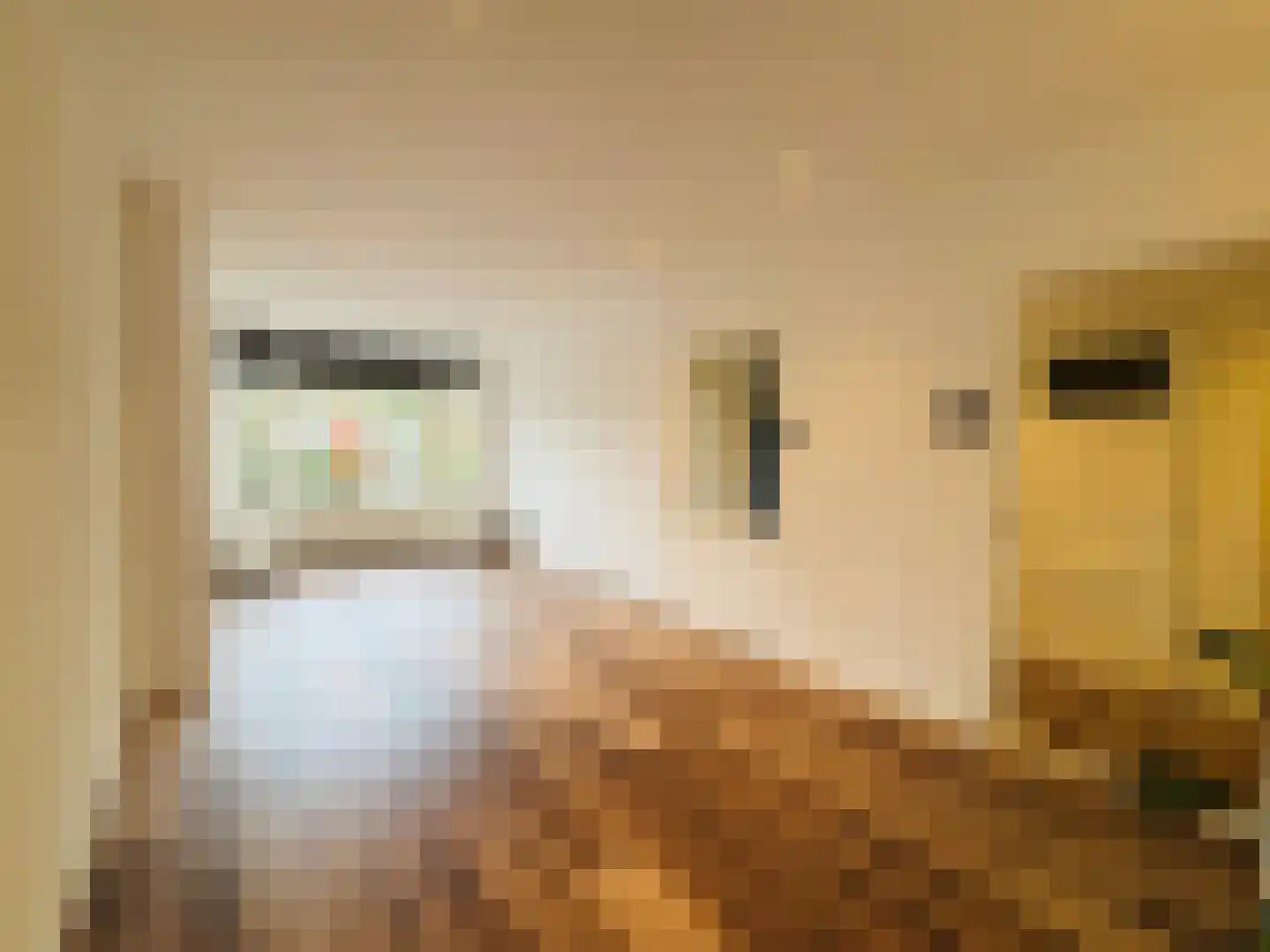 Amerongenstraat 32 Den Haag thumbnail 4