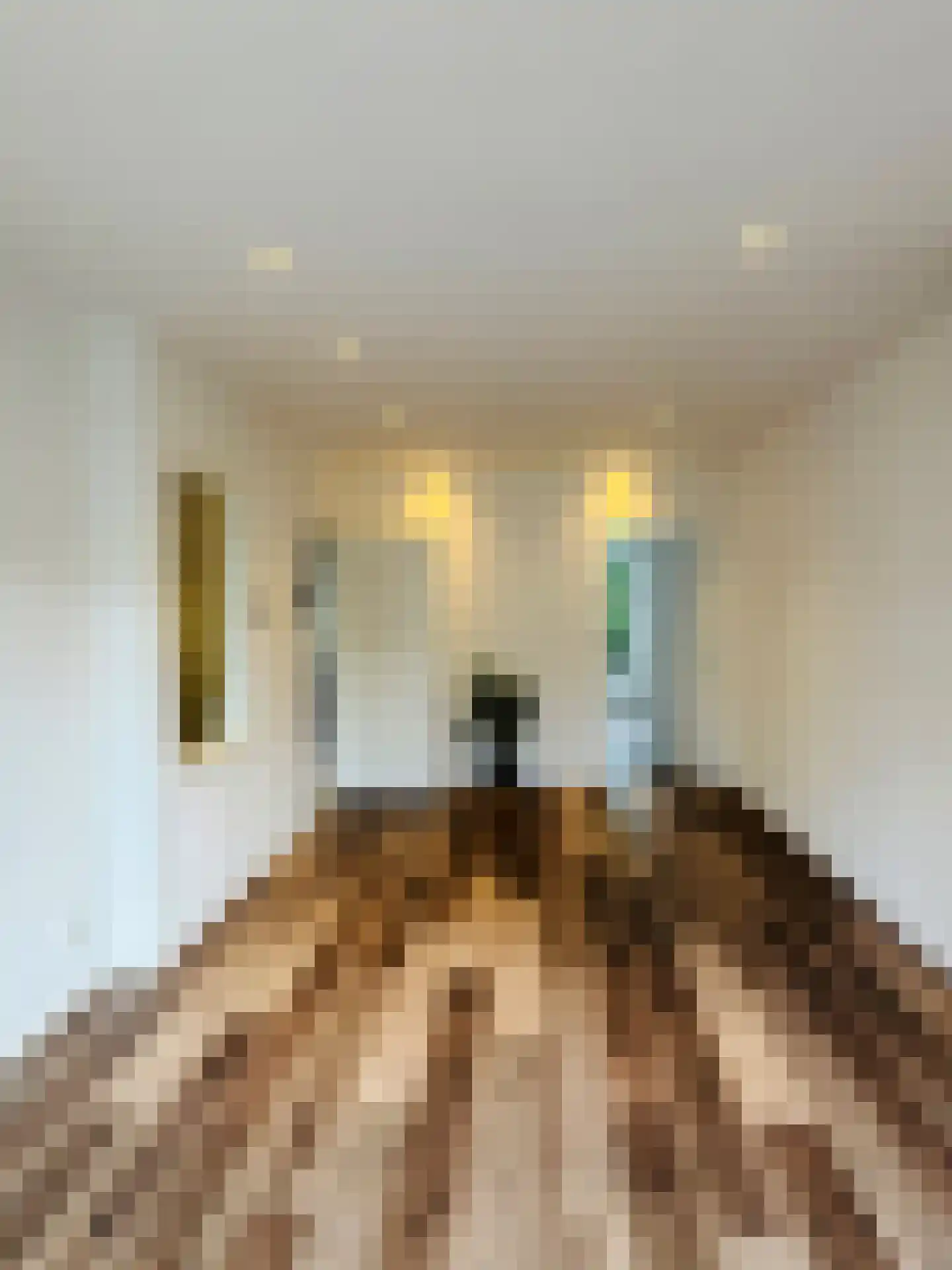 Amerongenstraat 32 Den Haag thumbnail 5
