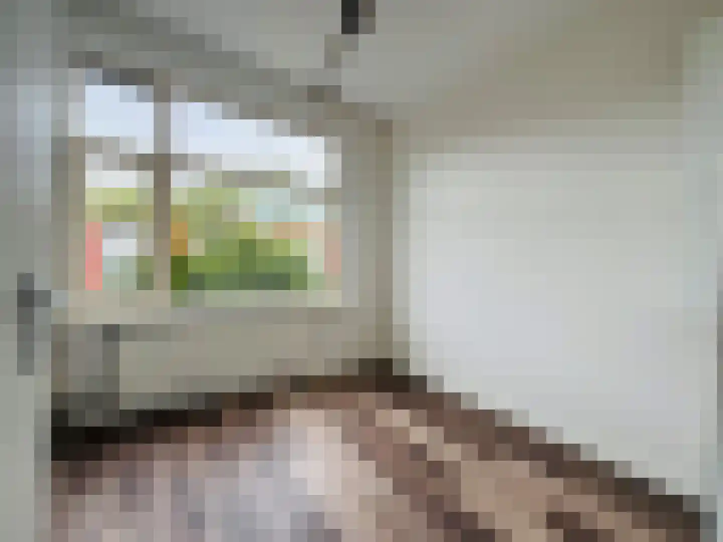 Amerongenstraat 32 Den Haag thumbnail 9