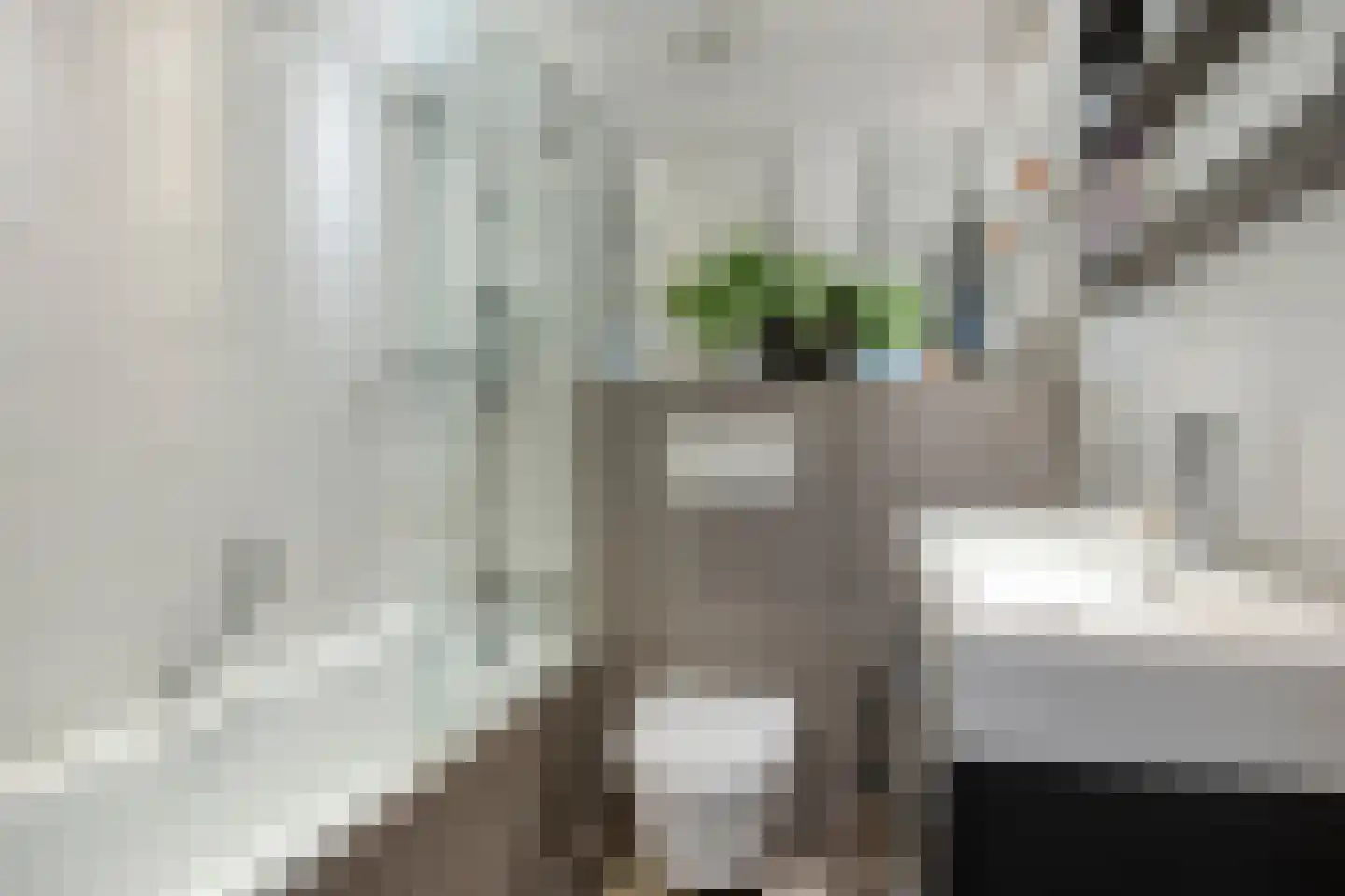 Amerongenstraat 33 BIS Breda thumbnail 4