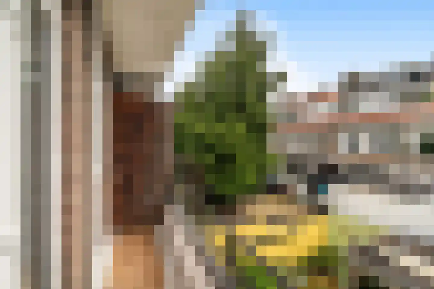 Amerongenstraat 44 Den Haag thumbnail 23