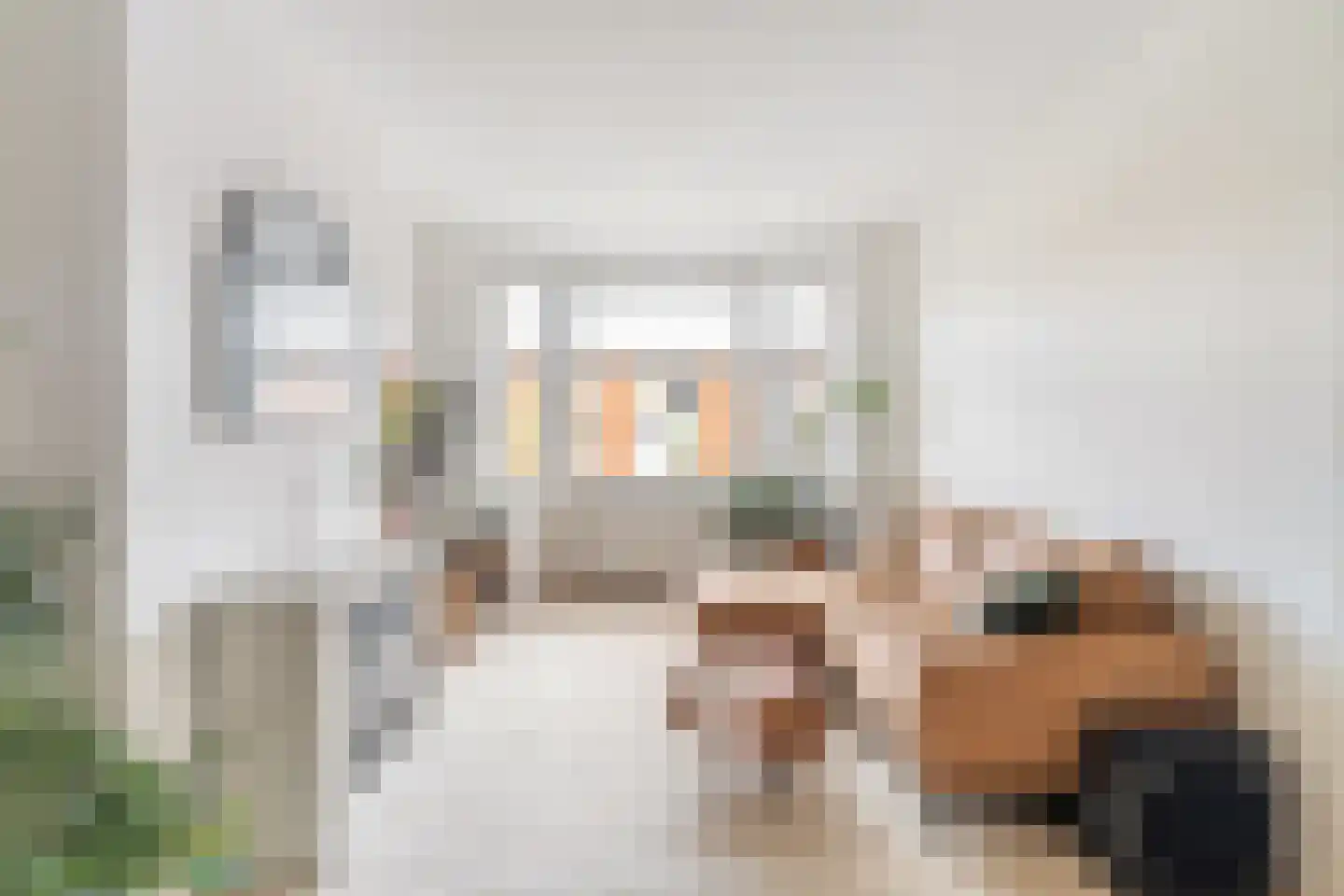 Amerongenstraat 44 Den Haag thumbnail 4