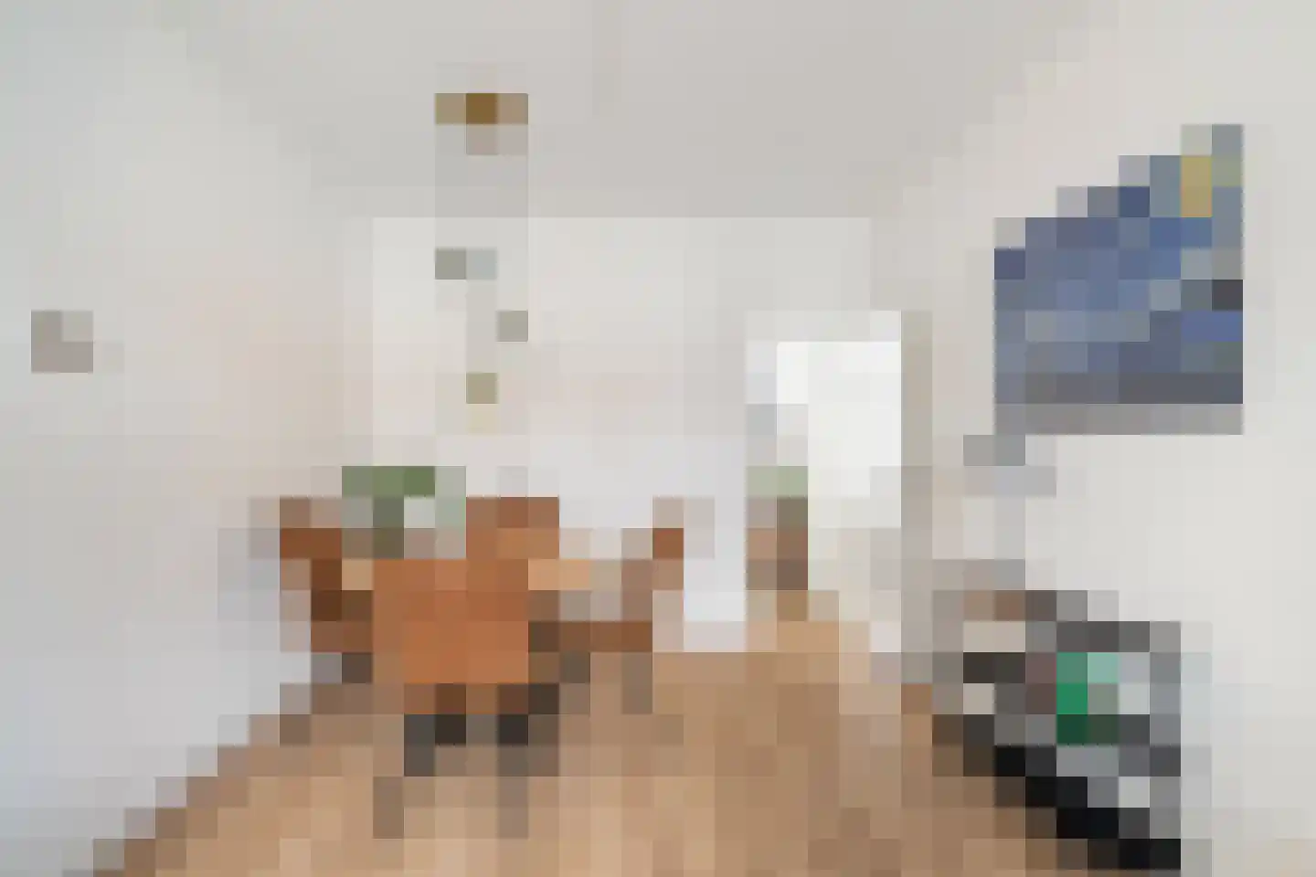 Amerongenstraat 44 Den Haag thumbnail 6