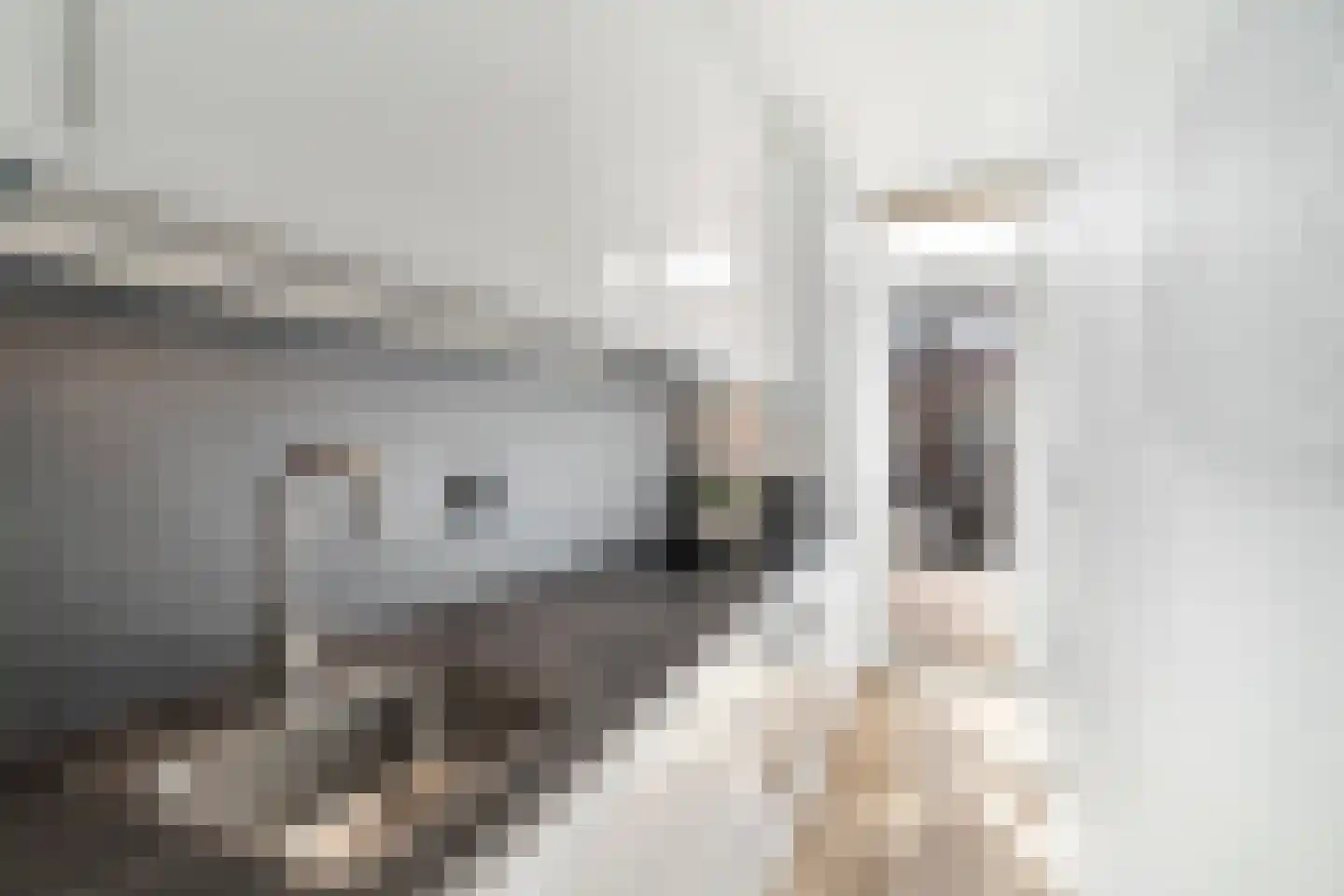 Amerongenstraat 44 Den Haag thumbnail 9