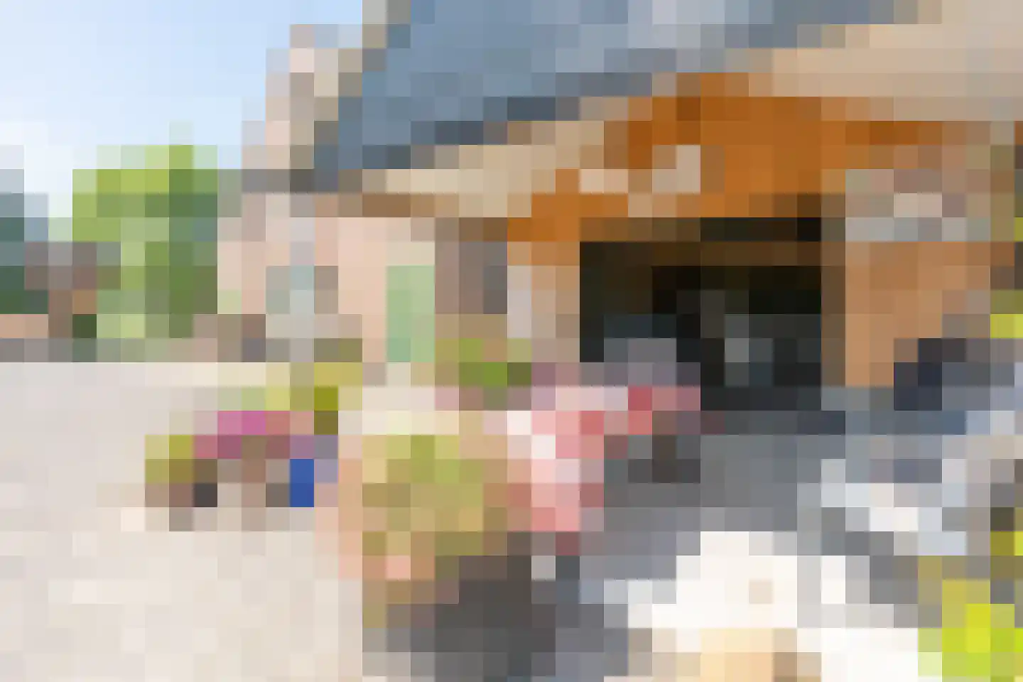 Ameronger Wetering 16 Amerongen thumbnail 10