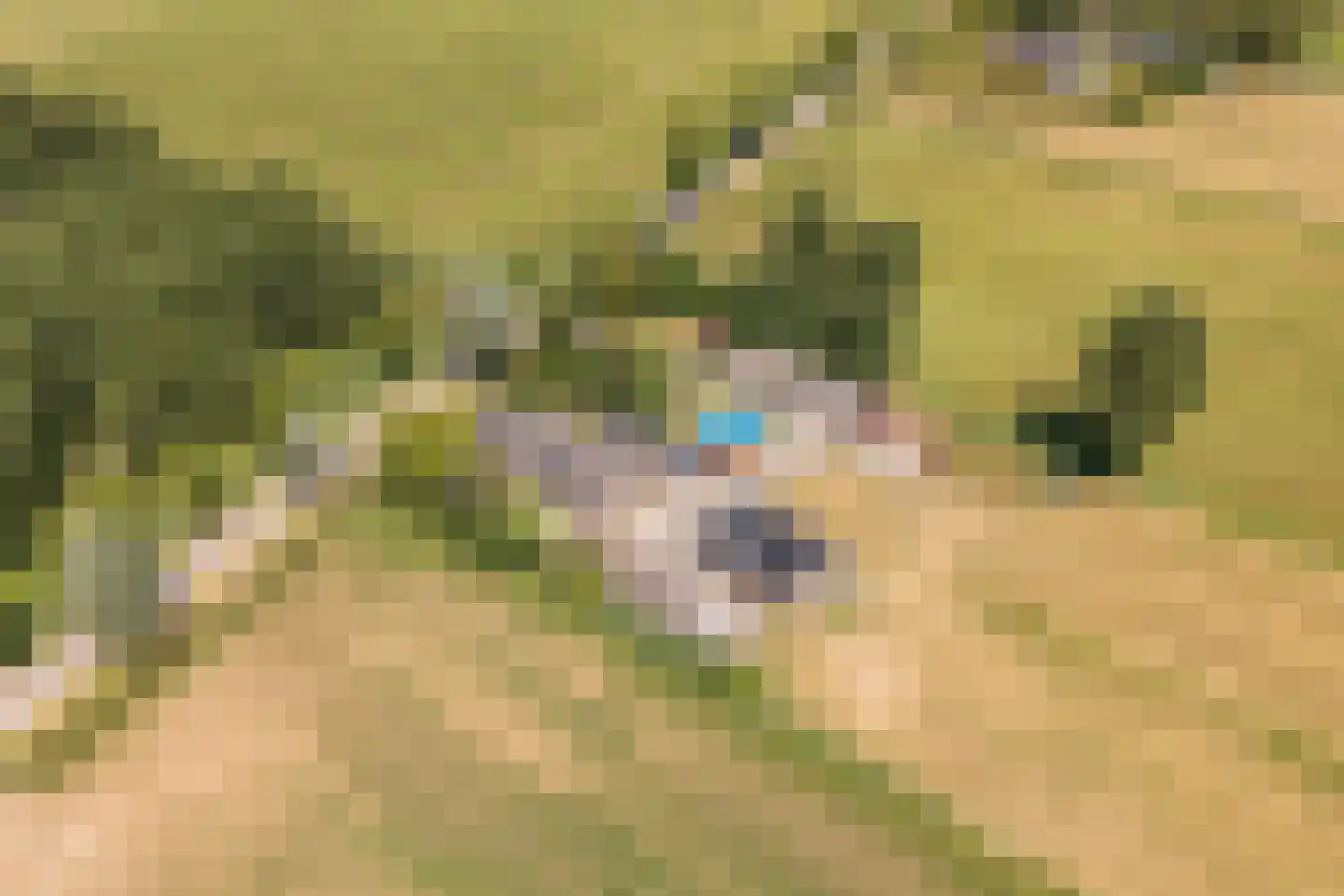 Ameronger Wetering 16 Amerongen thumbnail 15