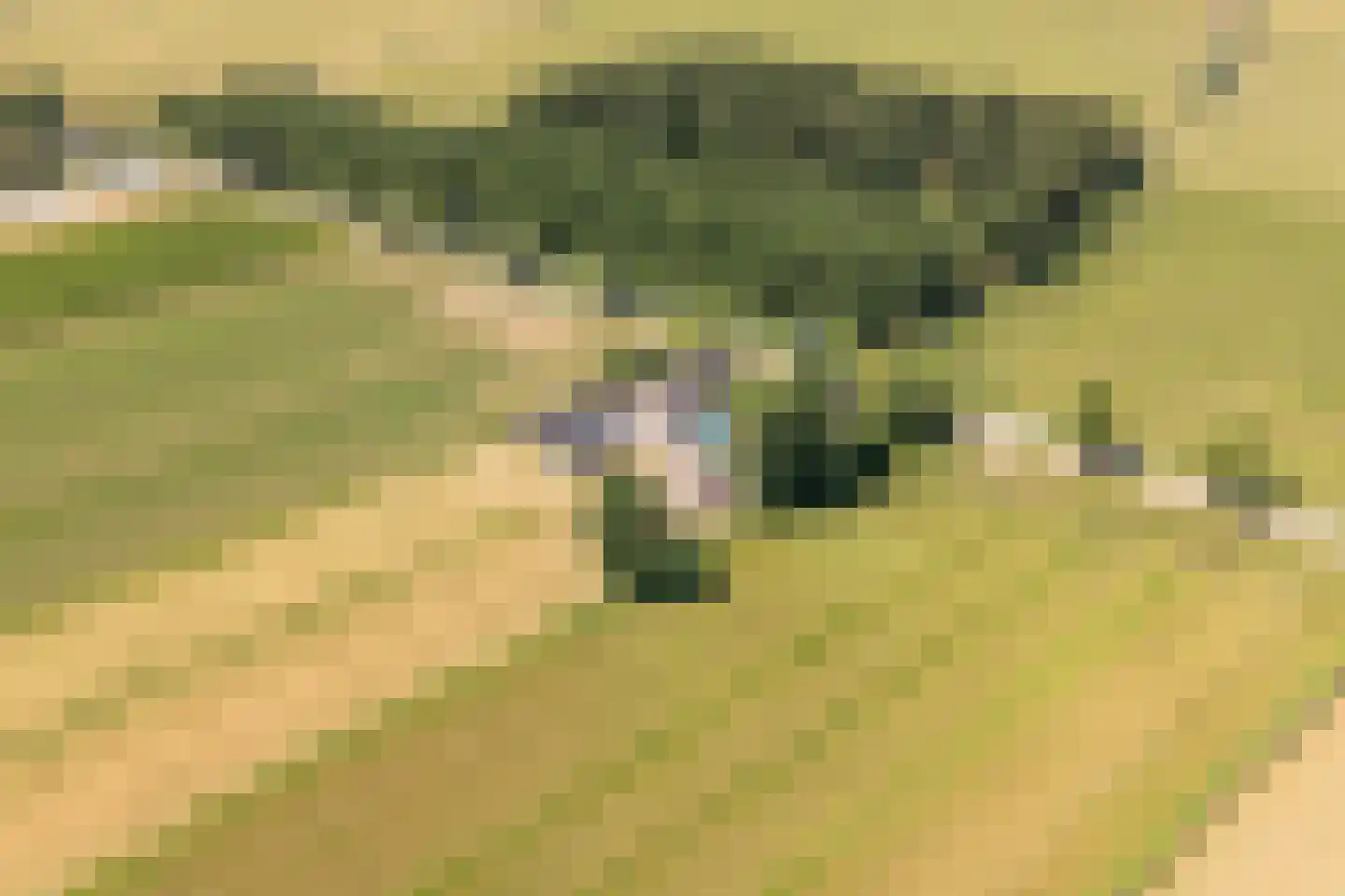 Ameronger Wetering 16 Amerongen thumbnail 17