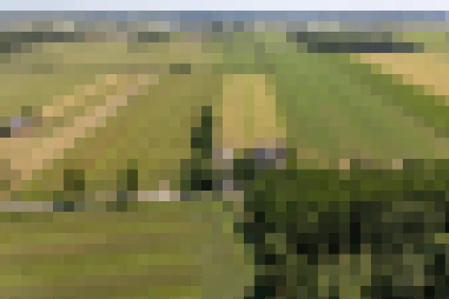 Ameronger Wetering 16 Amerongen thumbnail 18