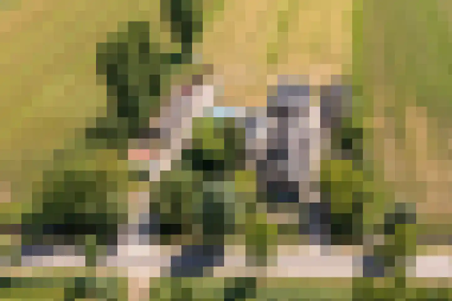 Ameronger Wetering 16 Amerongen thumbnail 19
