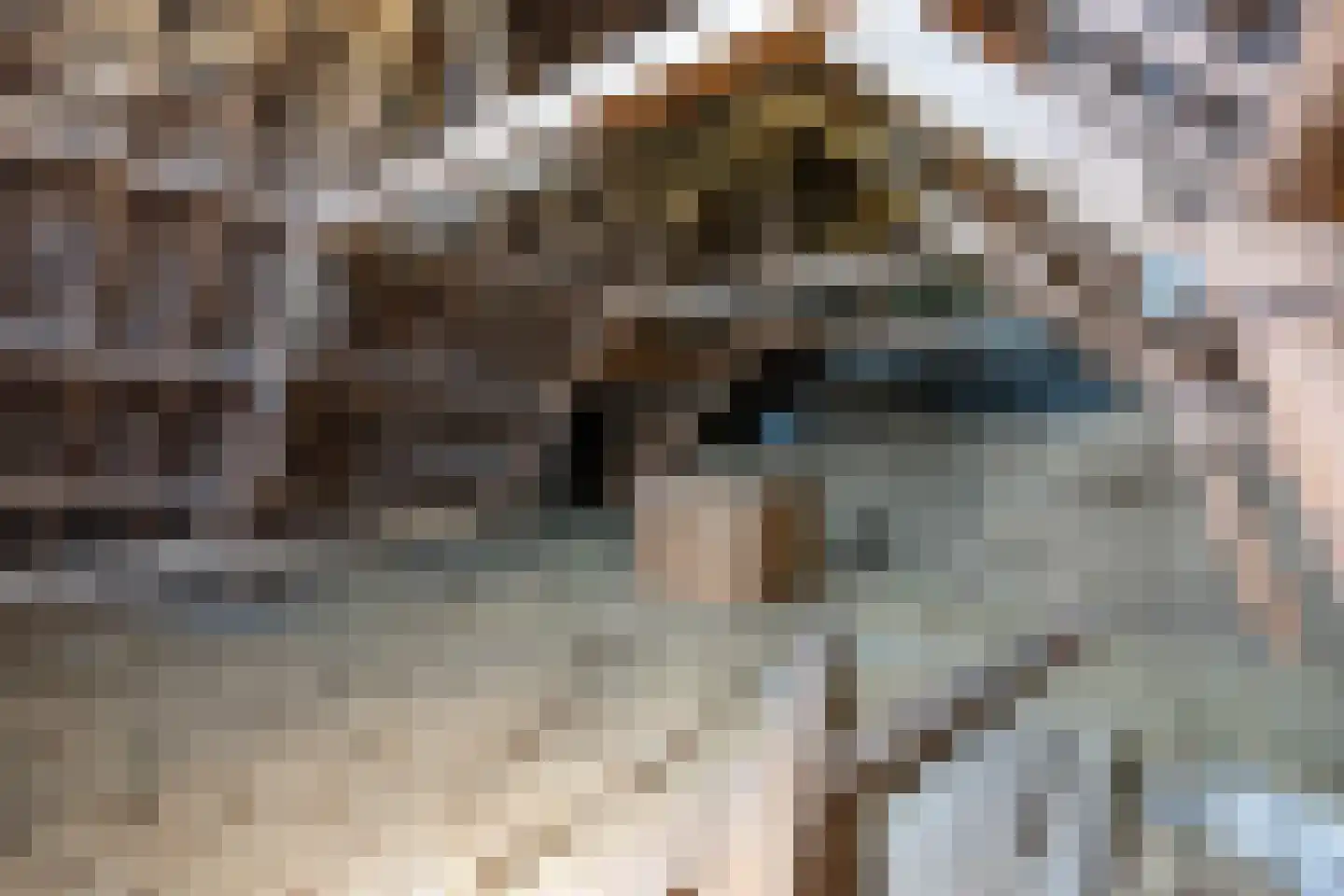Ameronger Wetering 16 Amerongen thumbnail 5