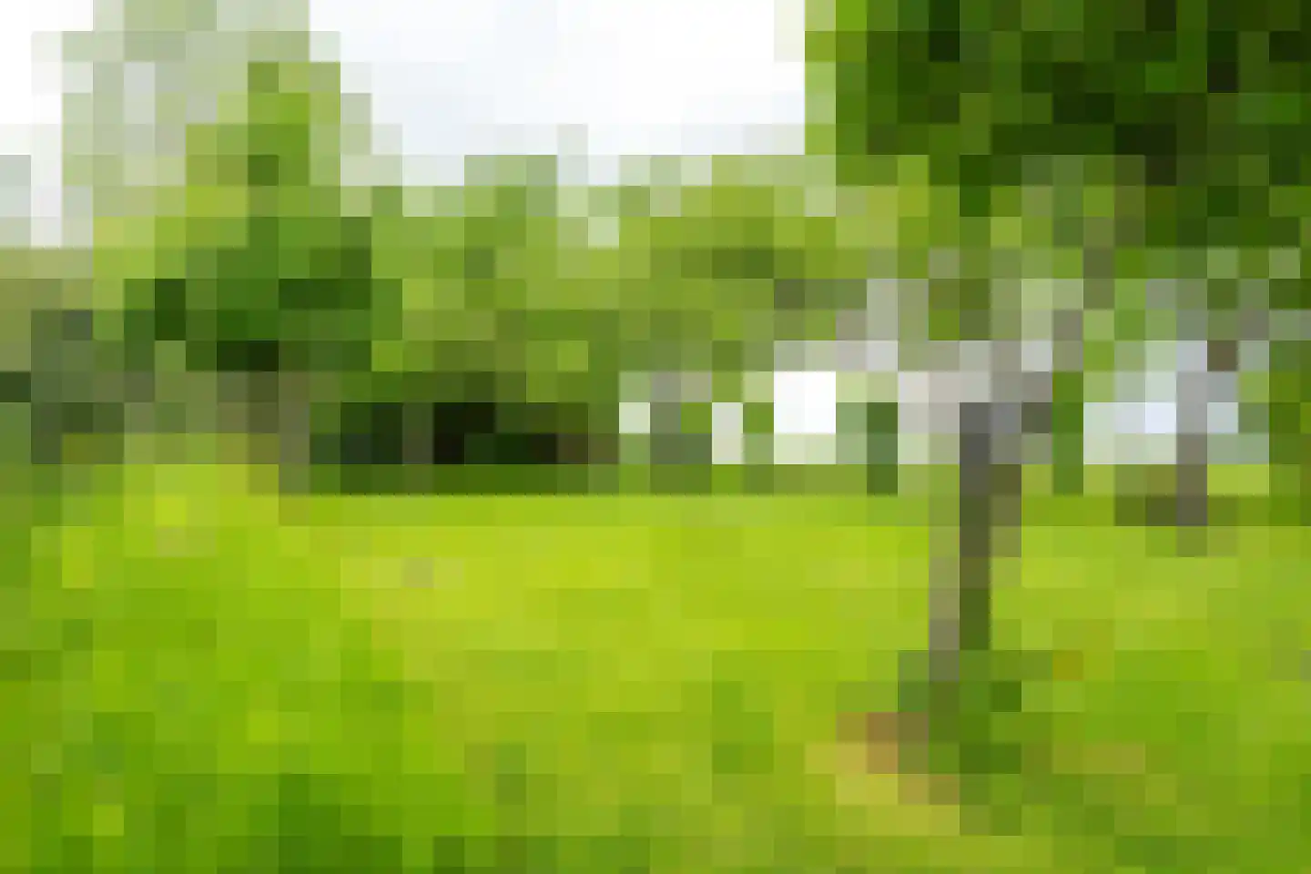Ameronger Wetering 24 a Amerongen thumbnail 44