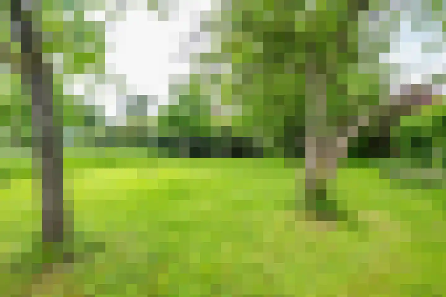 Ameronger Wetering 24 a Amerongen thumbnail 45