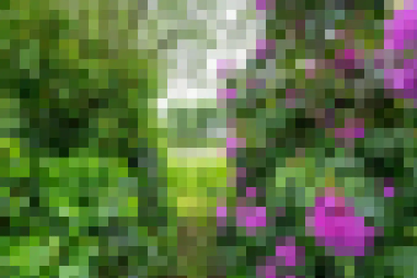 Ameronger Wetering 24 a Amerongen thumbnail 46