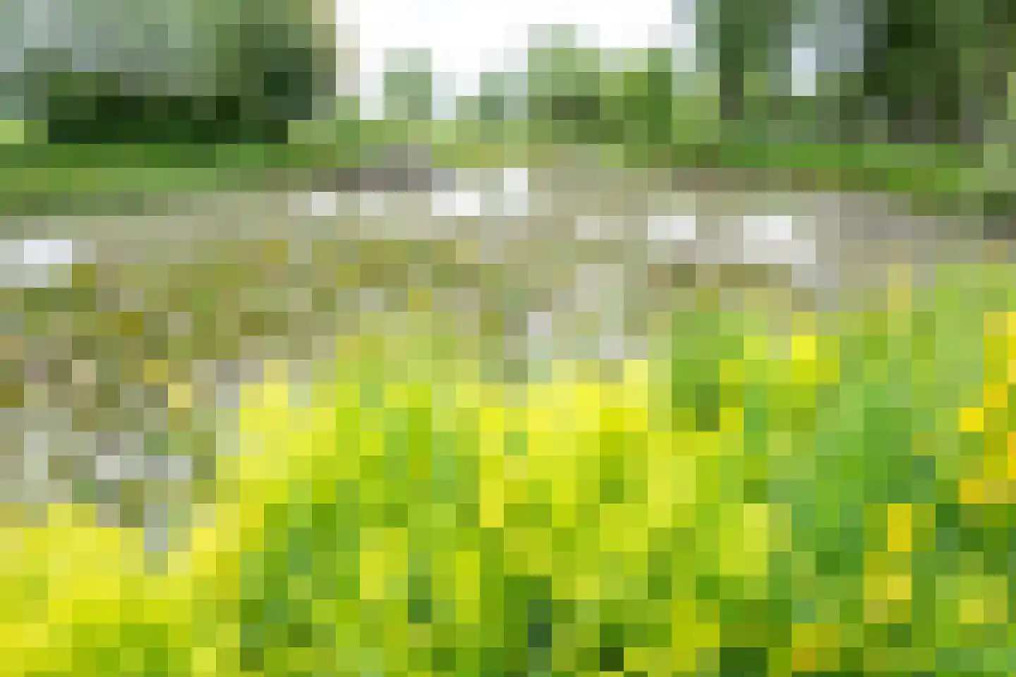 Ameronger Wetering 24 a Amerongen thumbnail 51