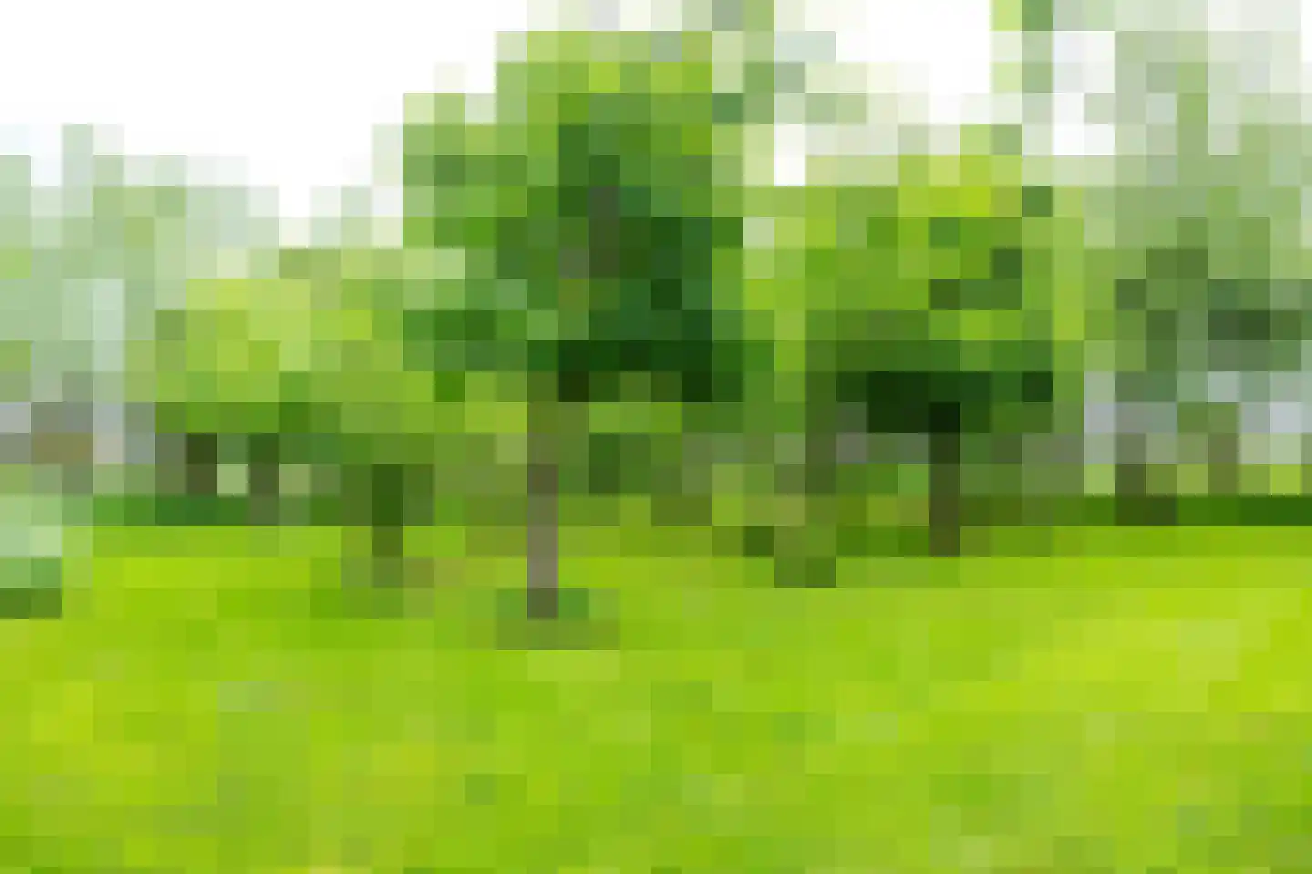 Ameronger Wetering 24 a Amerongen thumbnail 54
