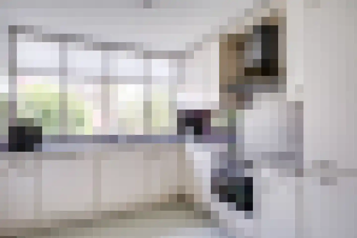 Amerongseberg 29 Utrecht thumbnail 19