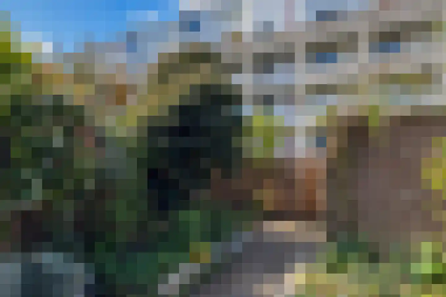 Amerongseberg 29 Utrecht thumbnail 23